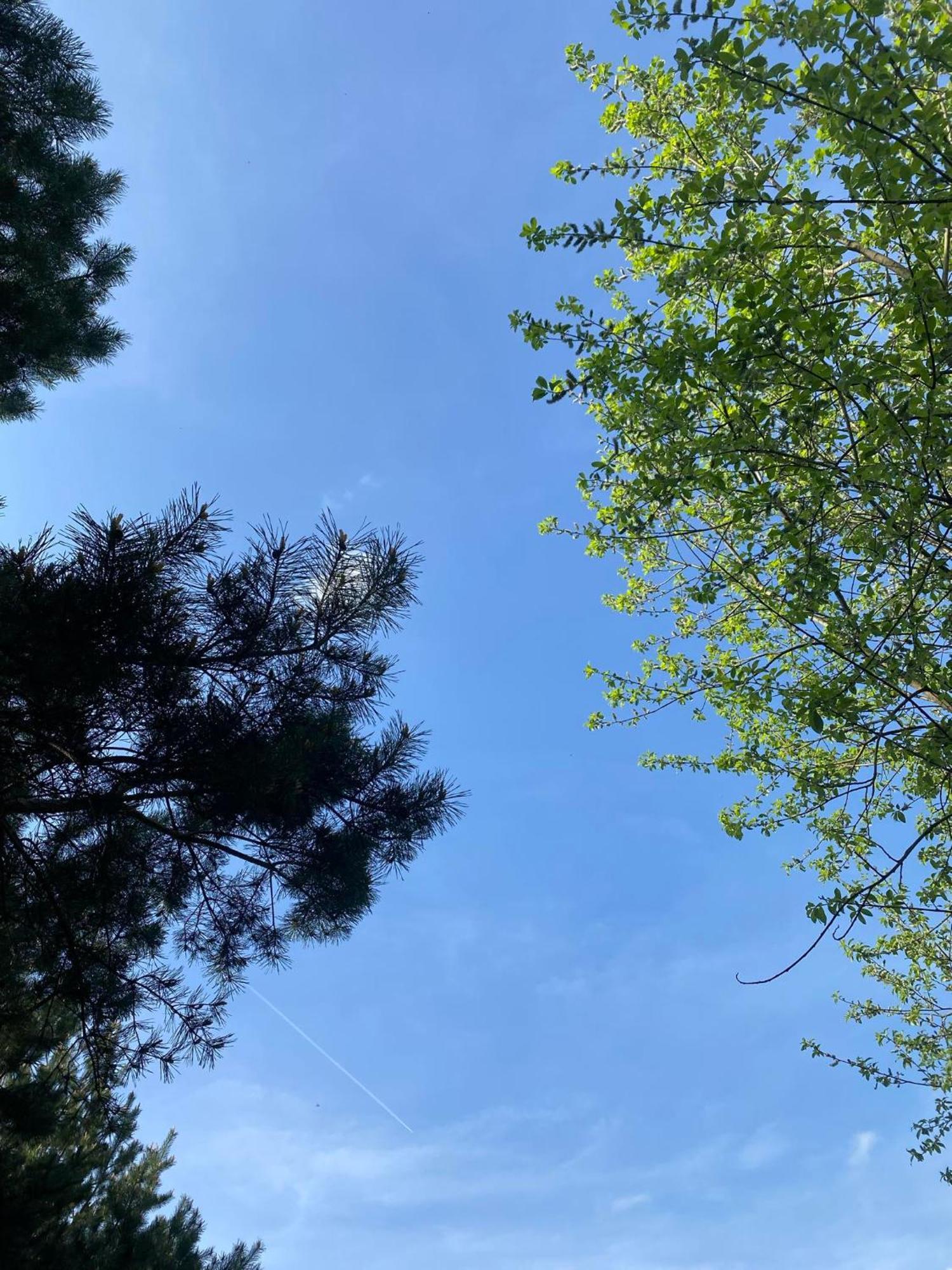 Apartmán Zacisze Na Podzamczu Odrzykon Exteriér fotografie